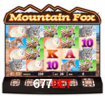 Programa VIP 677bet